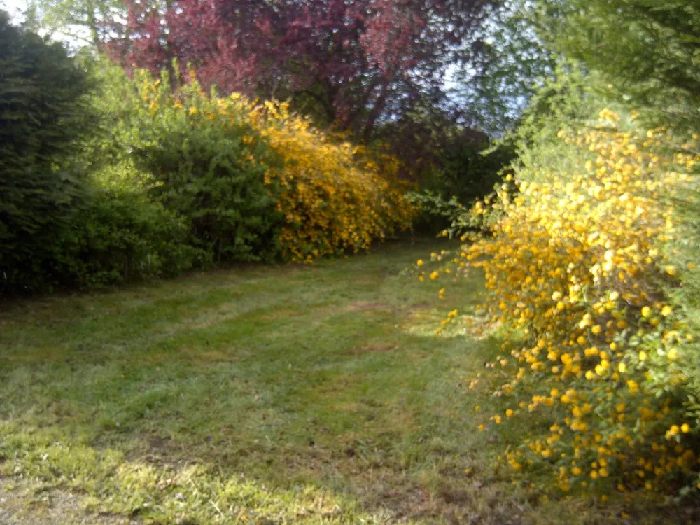 Camping municipal du Lac de Pont