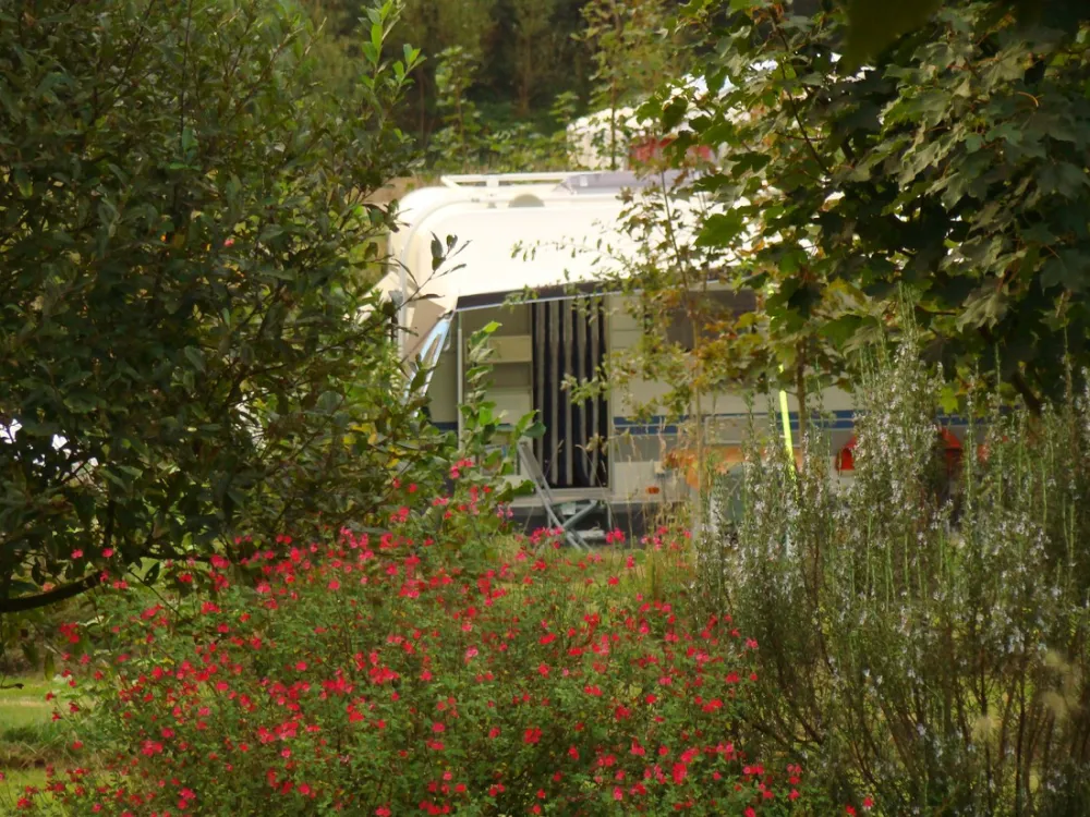 Camping ** La Fontaine Du Hallate  en Morbihan