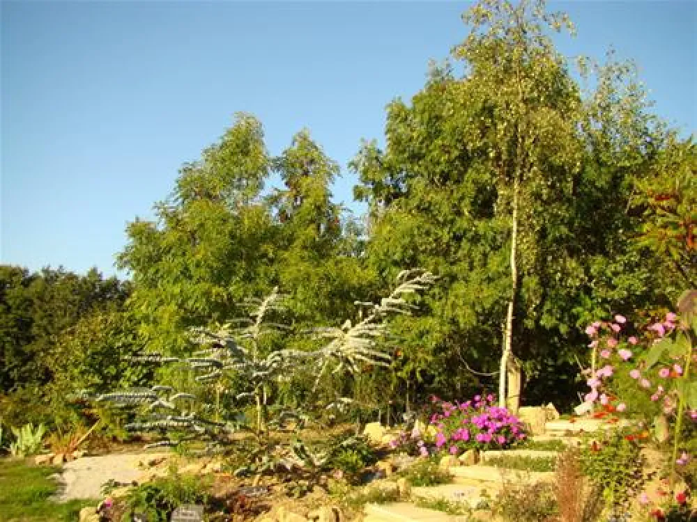 Camping ** La Fontaine Du Hallate  en Morbihan