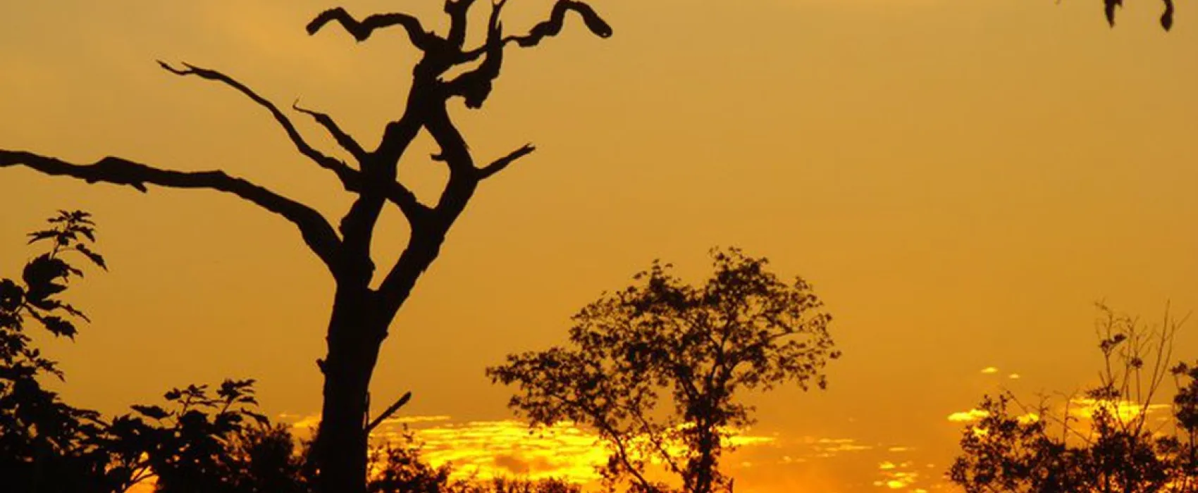 Camping ** La Fontaine Du Hallate  en Morbihan