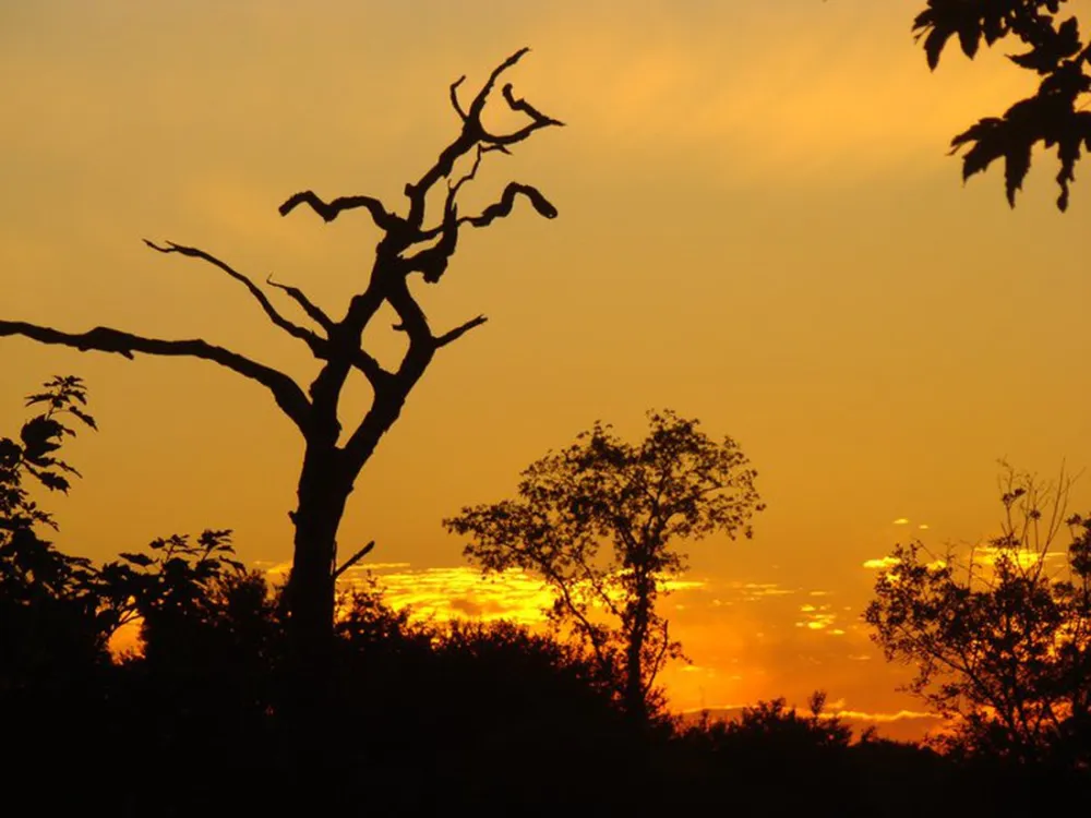 Camping ** La Fontaine Du Hallate  en Morbihan