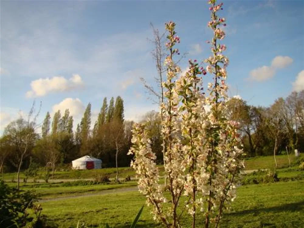 Camping ** La Fontaine Du Hallate  en Morbihan