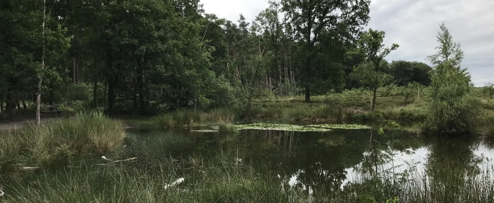 Camping De Wapenberg