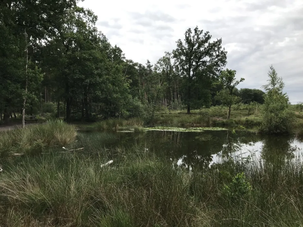 Camping De Wapenberg