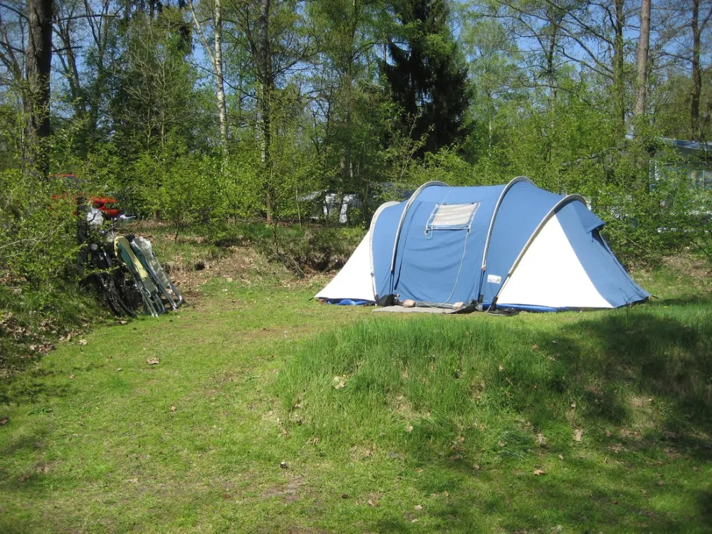 Camping De Wapenberg