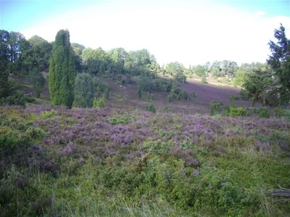 Camping am Hardausee