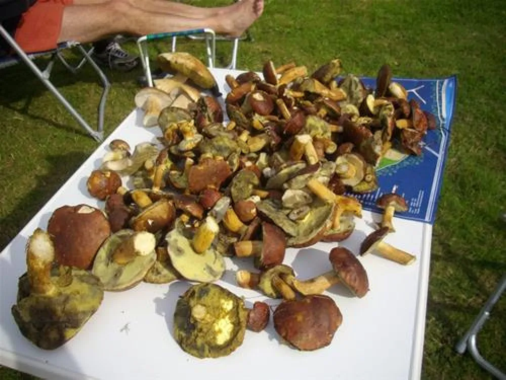 Camping am Hardausee