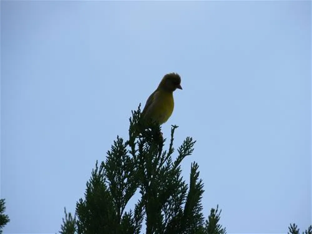 Camping am Hardausee