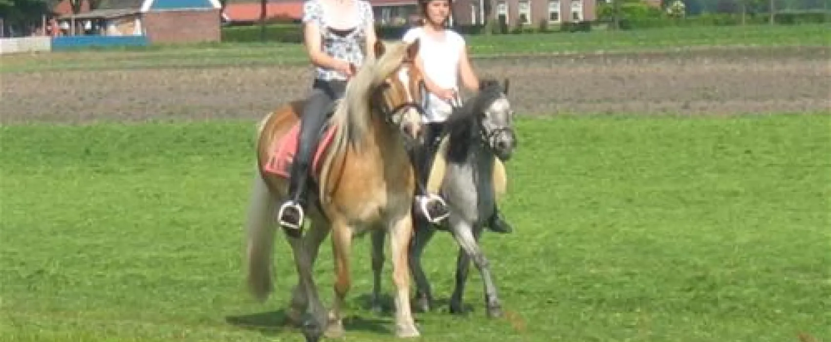 Camping Musselkanaal