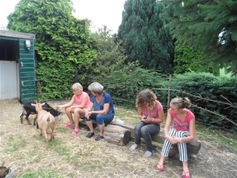 Camping Musselkanaal