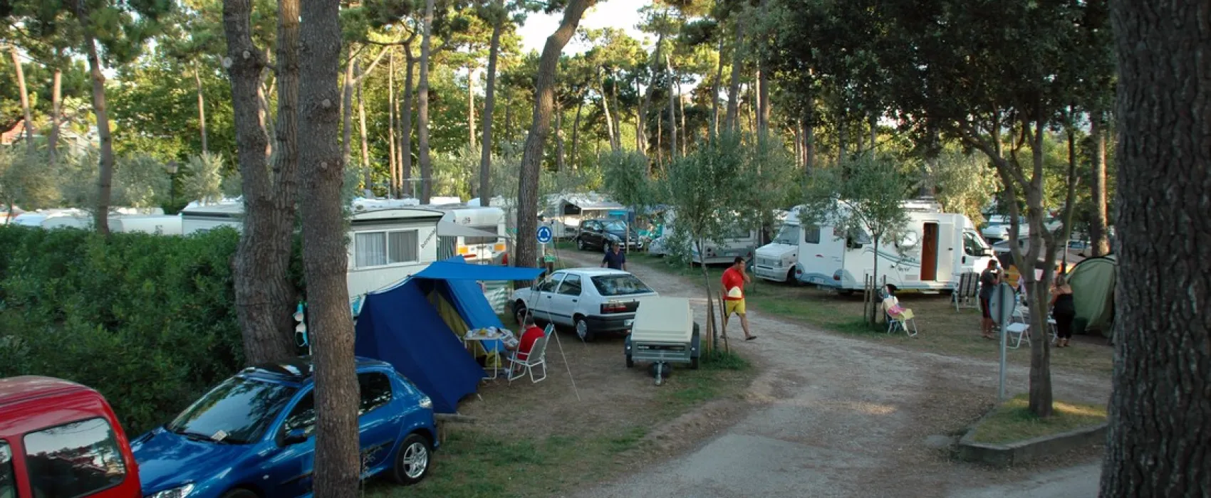 Camping El Rosal
