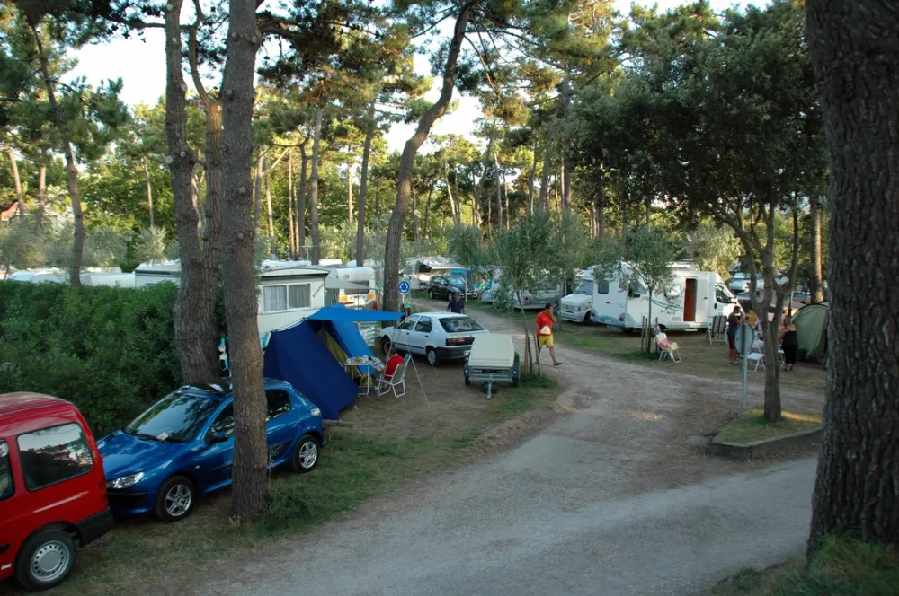 Camping El Rosal