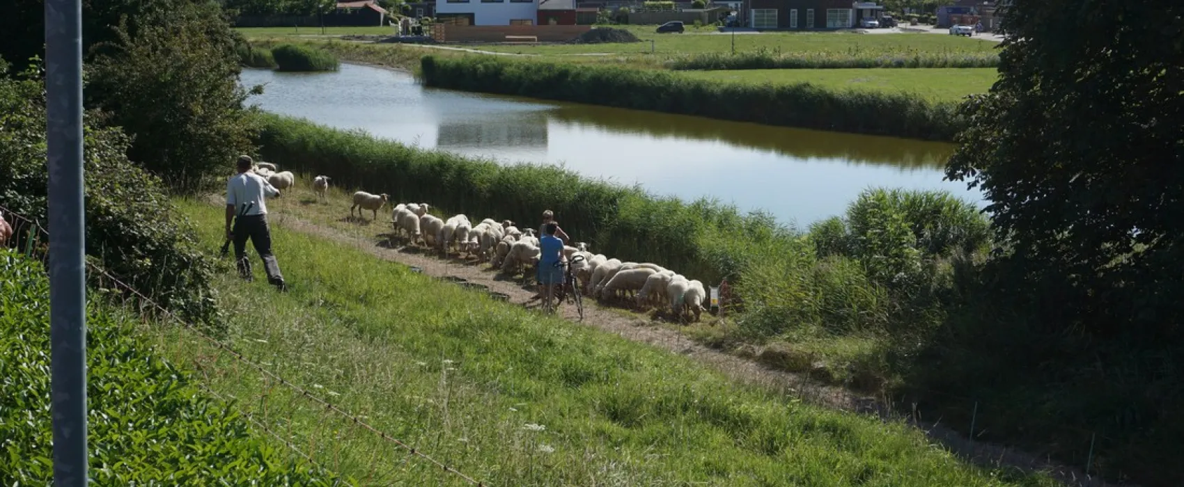 Mini-camping Veldzicht