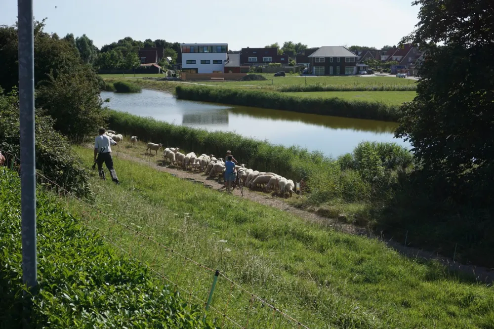 Mini-camping Veldzicht