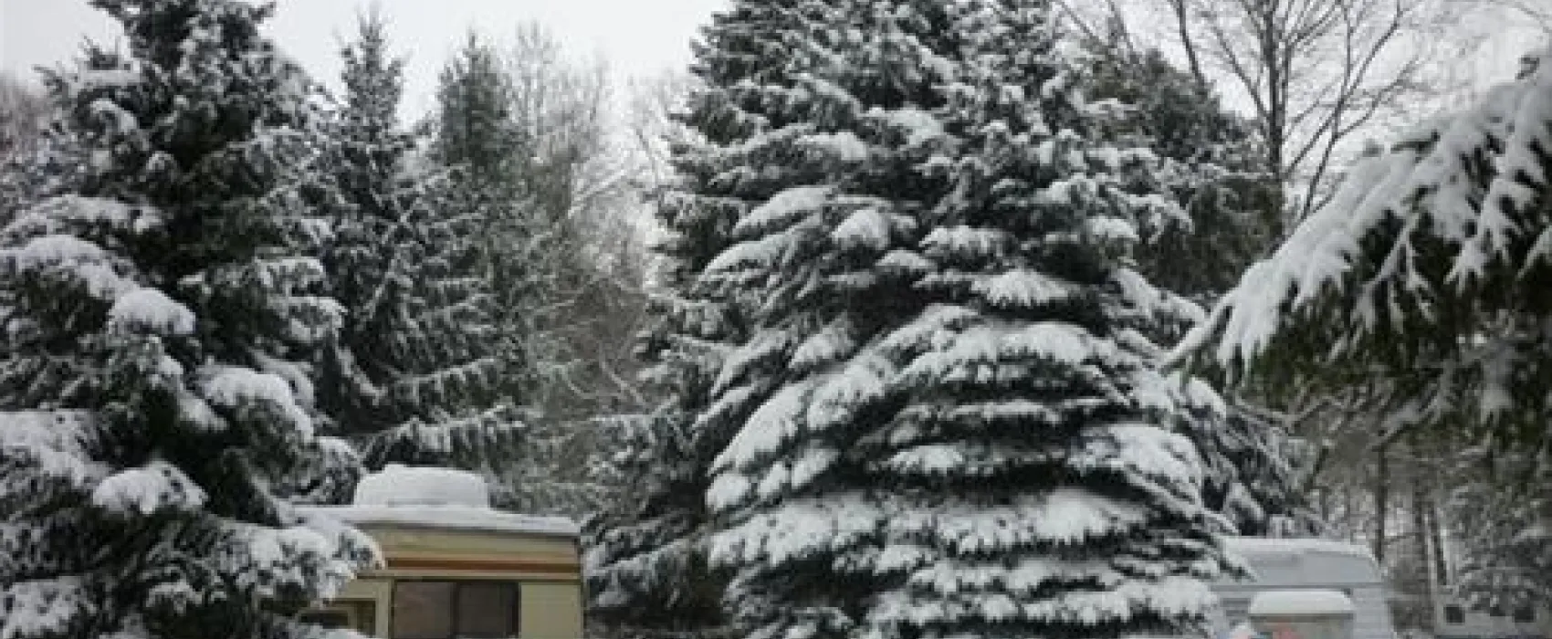 Campingplatz Glockenheide
