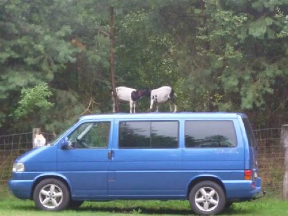 Campingplatz Glockenheide