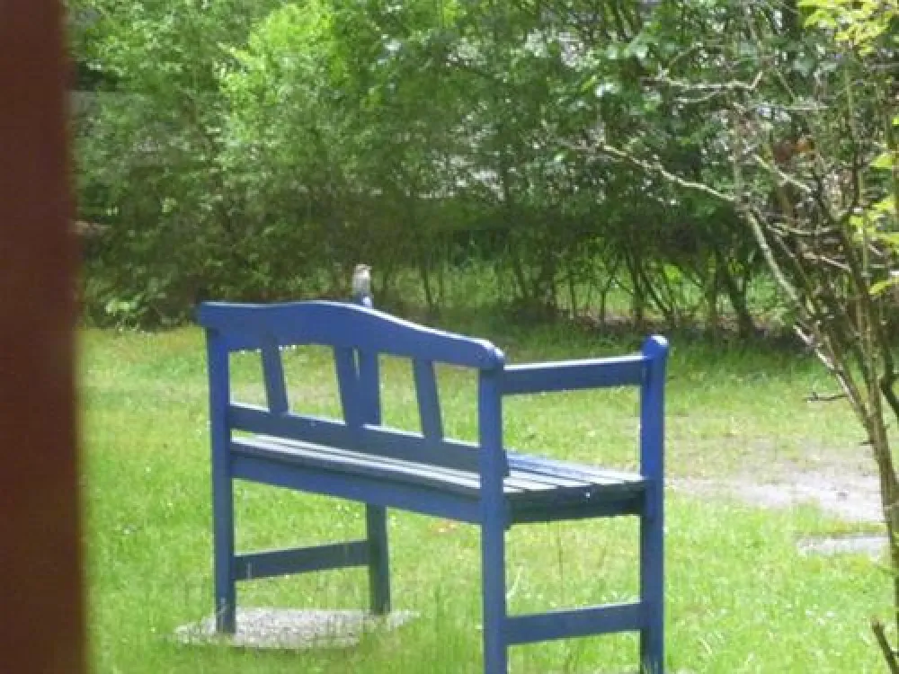 Campingplatz Glockenheide