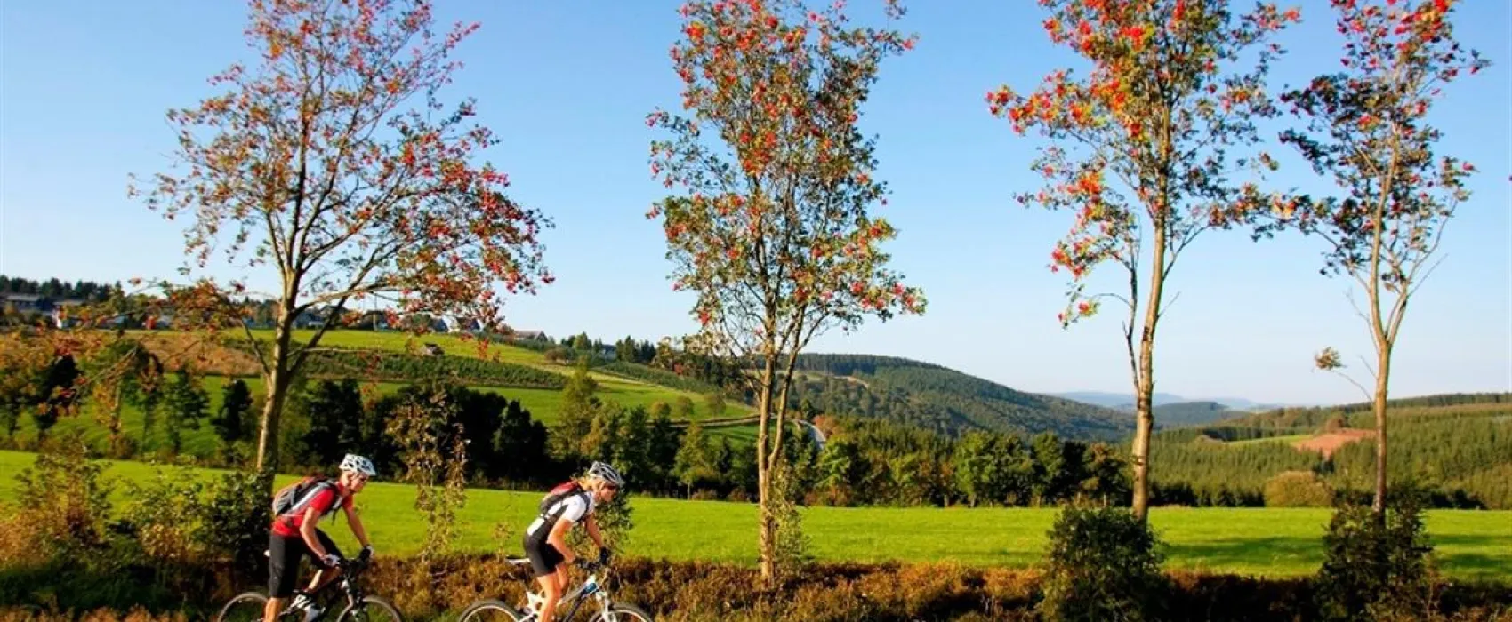 Camping und Ferienpark Brilon