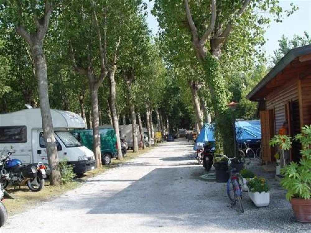 Camping Viareggio