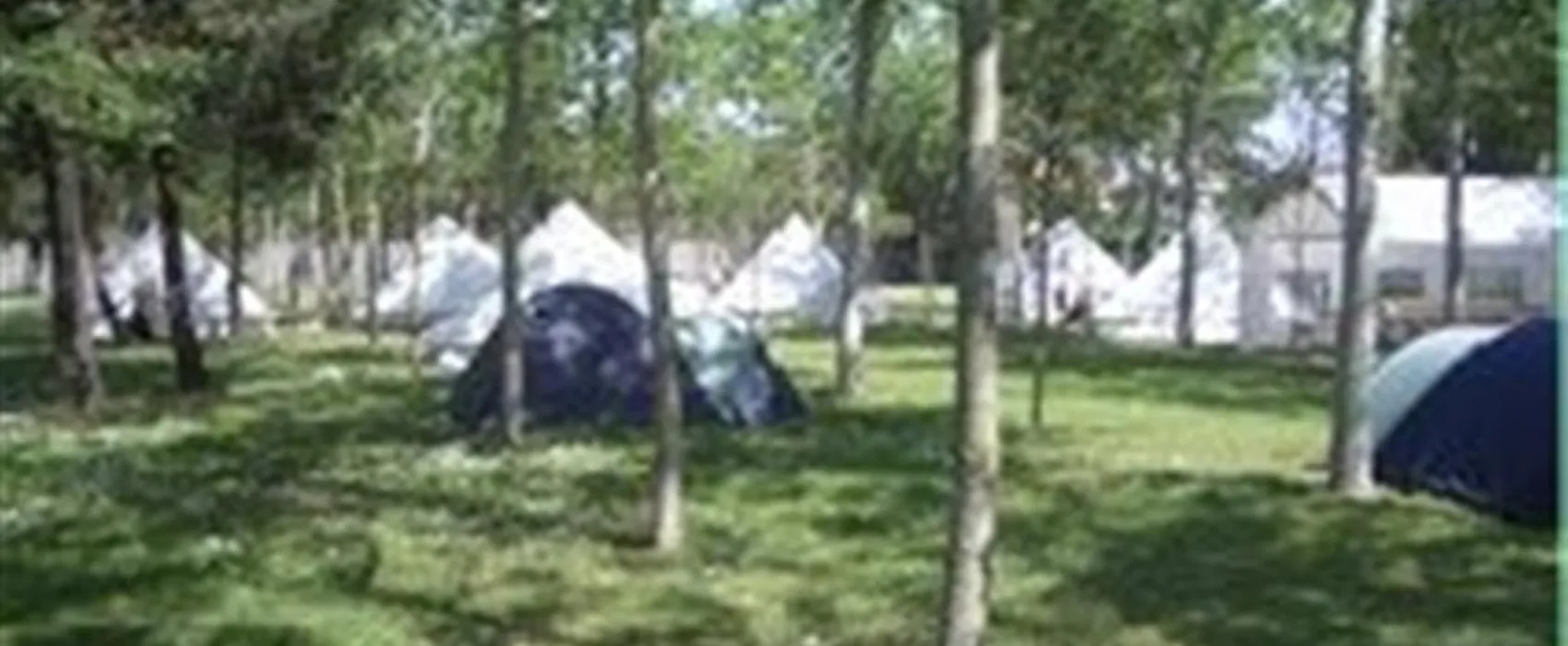 Camping Viareggio