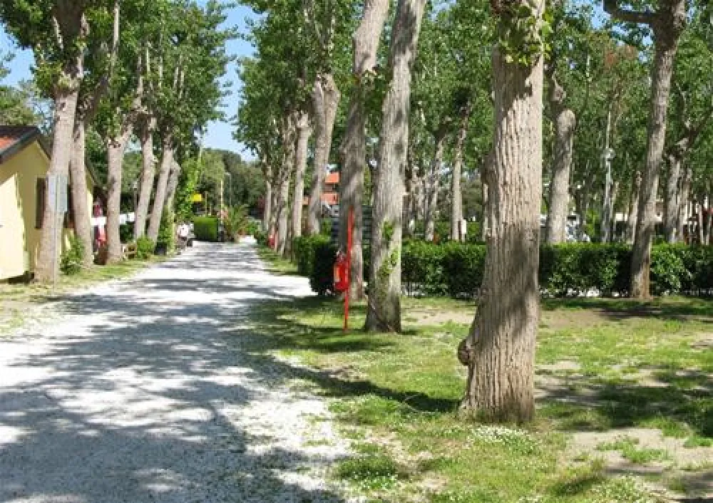 Camping Viareggio