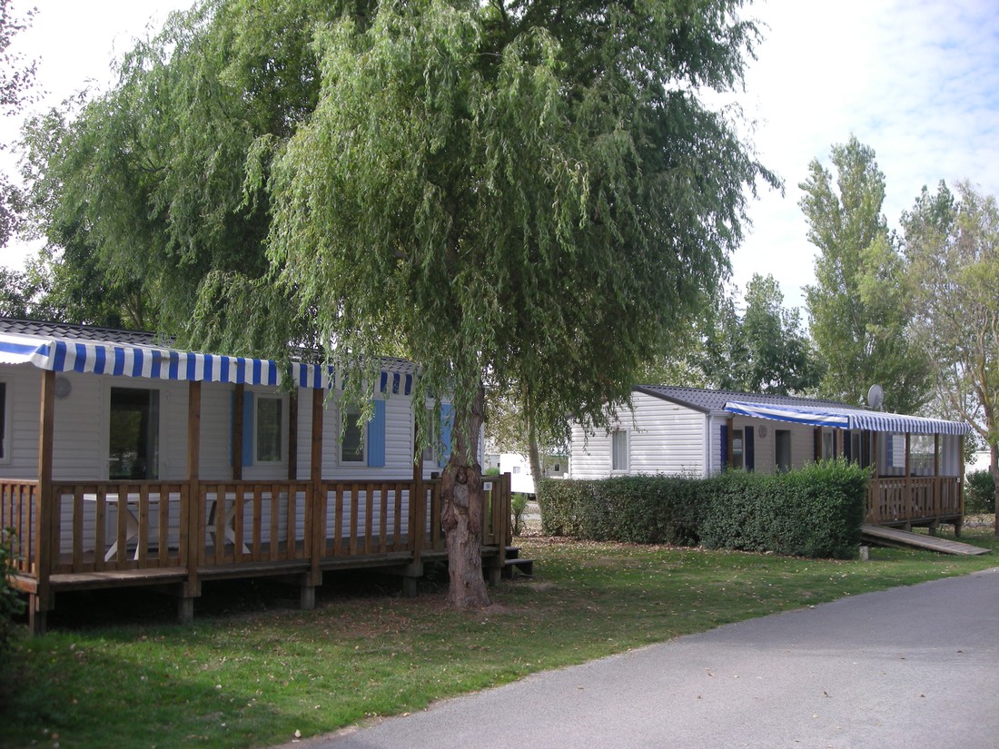 Flower camping Le Clos Cottet  **** - Photo 2