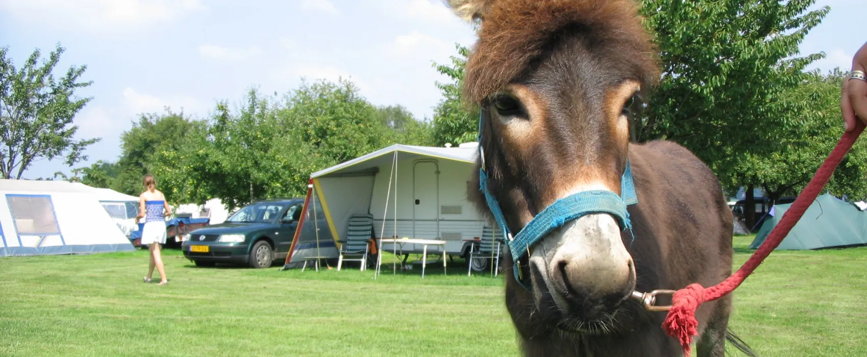Kampeerterrein Oosterberg