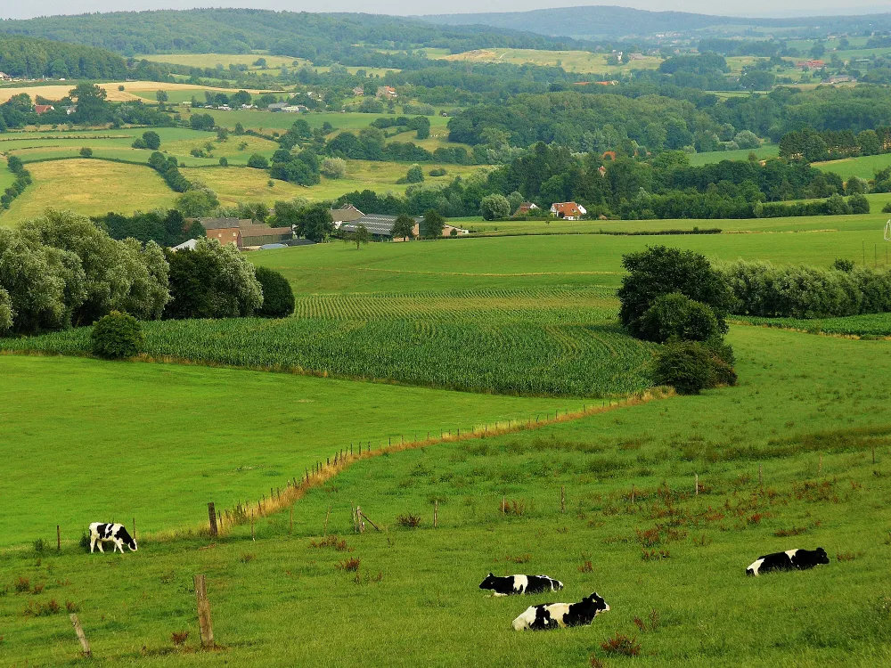 Kampeerterrein Oosterberg