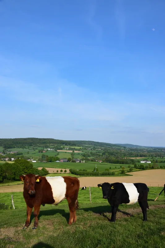Kampeerterrein Oosterberg
