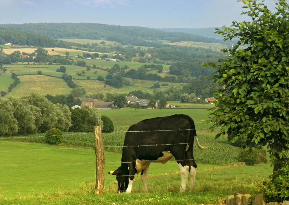 Kampeerterrein Oosterberg