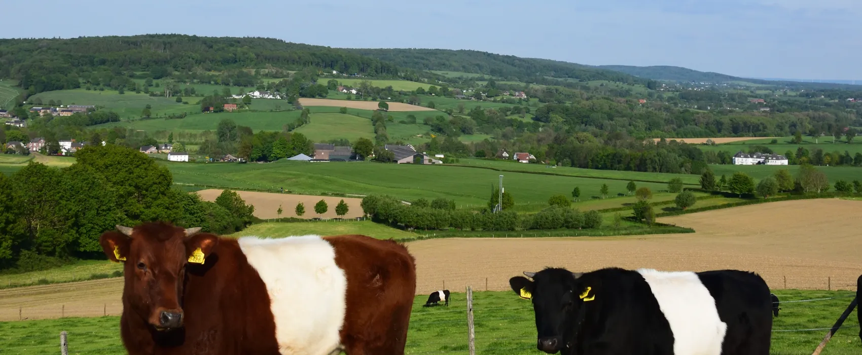 Kampeerterrein Oosterberg