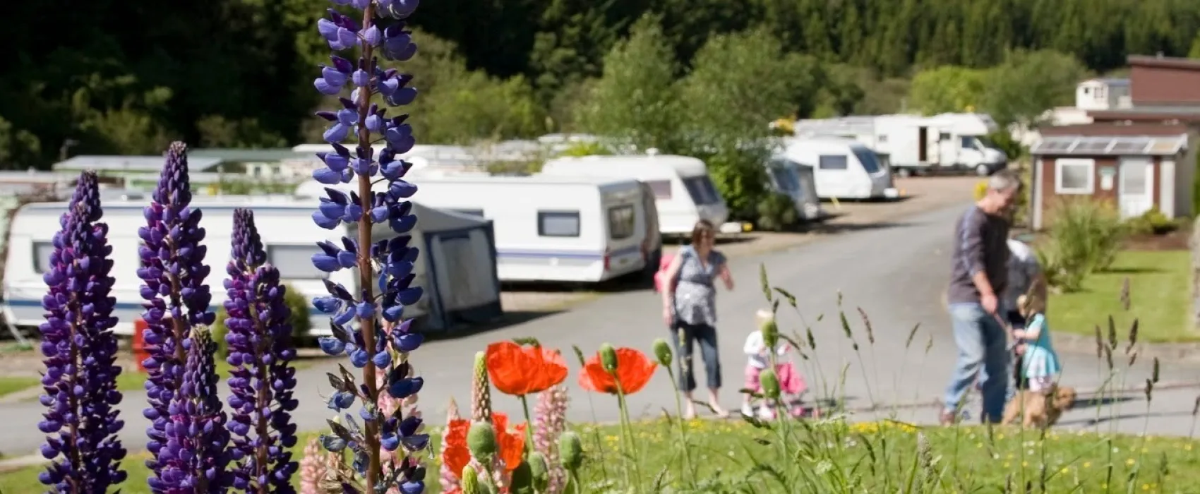 Corriefodly Holiday Park