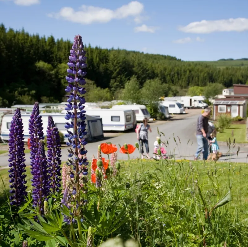 Corriefodly Holiday Park