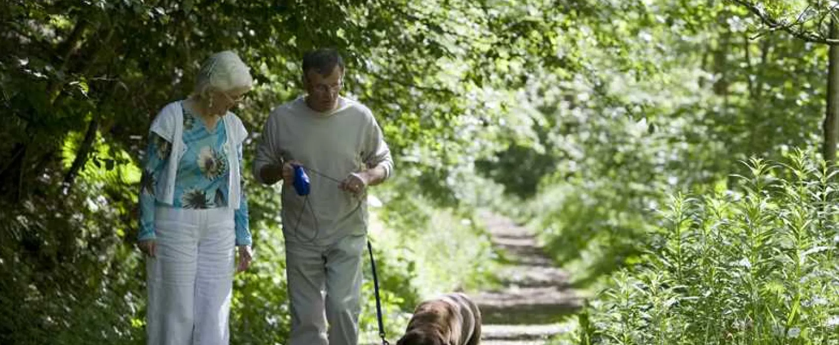 Corriefodly Holiday Park