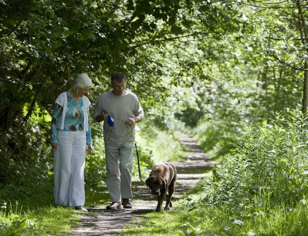 Corriefodly Holiday Park