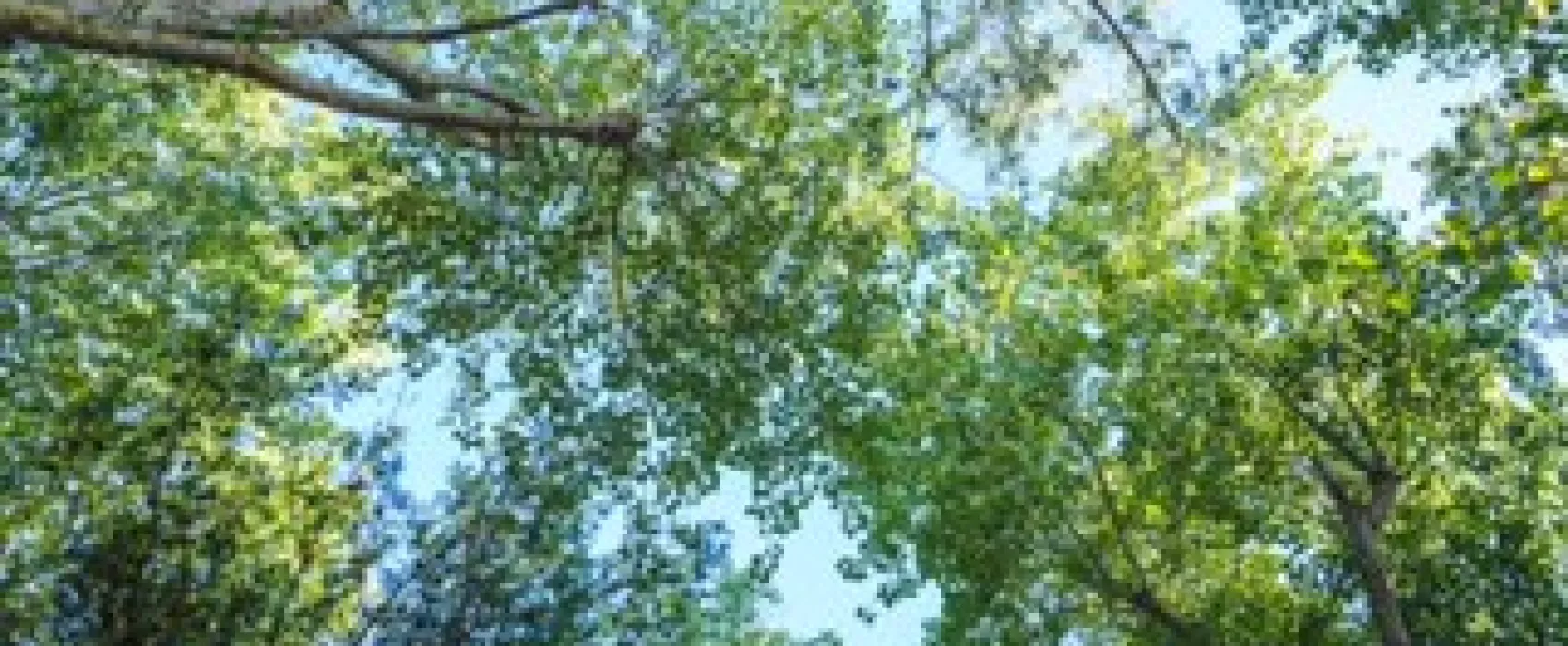 Agriturismo biologico Salos