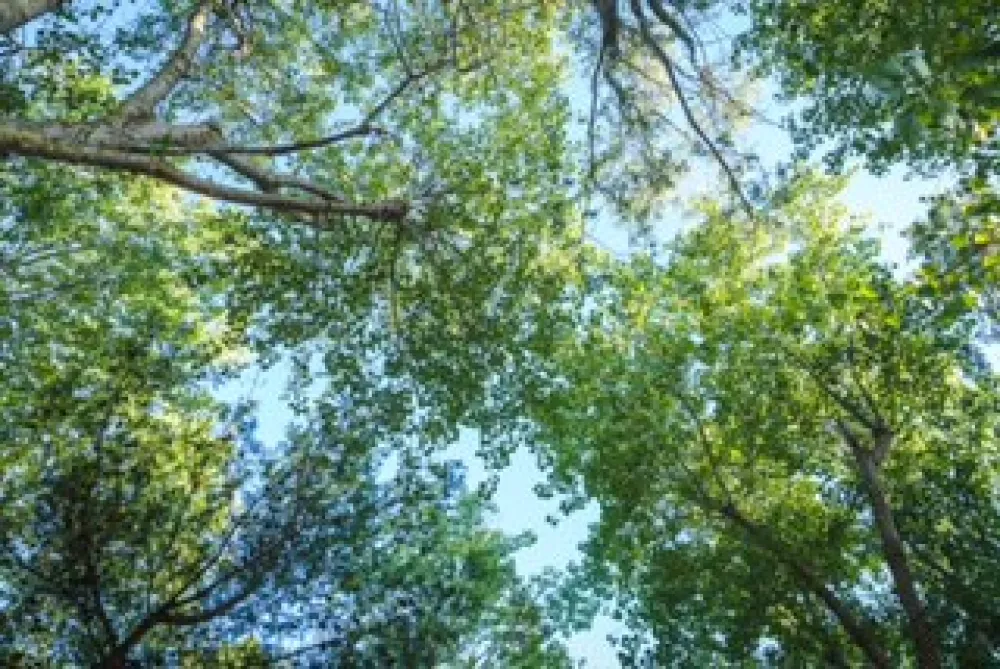 Agriturismo biologico Salos