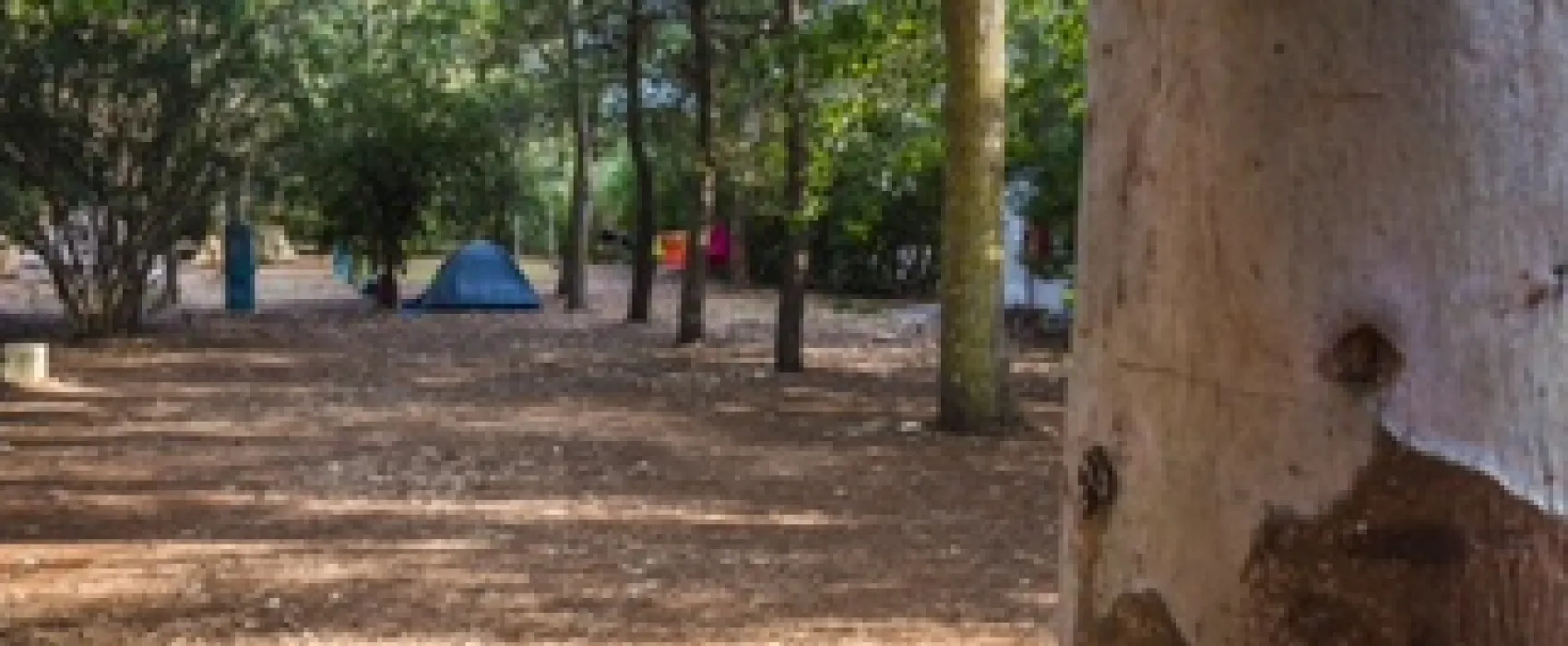 Agriturismo biologico Salos