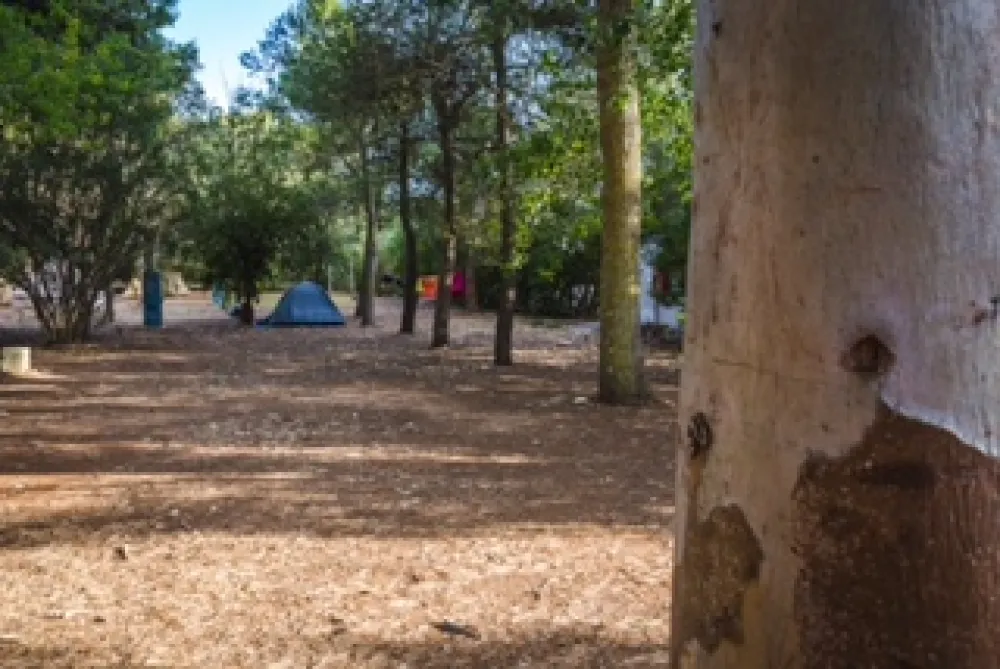 Agriturismo biologico Salos