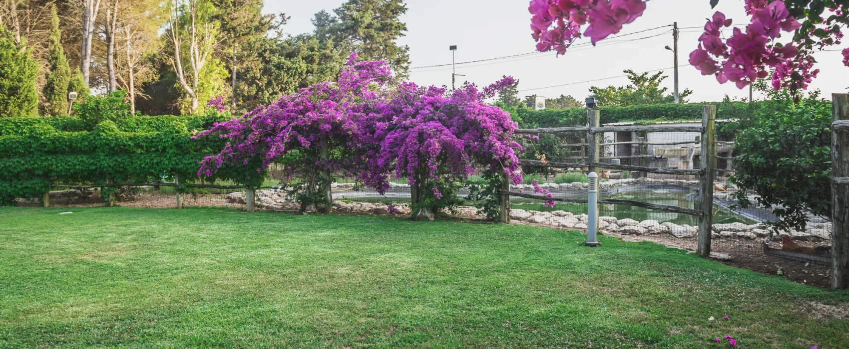 Agriturismo biologico Salos