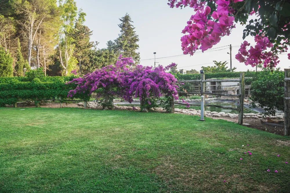 Agriturismo biologico Salos