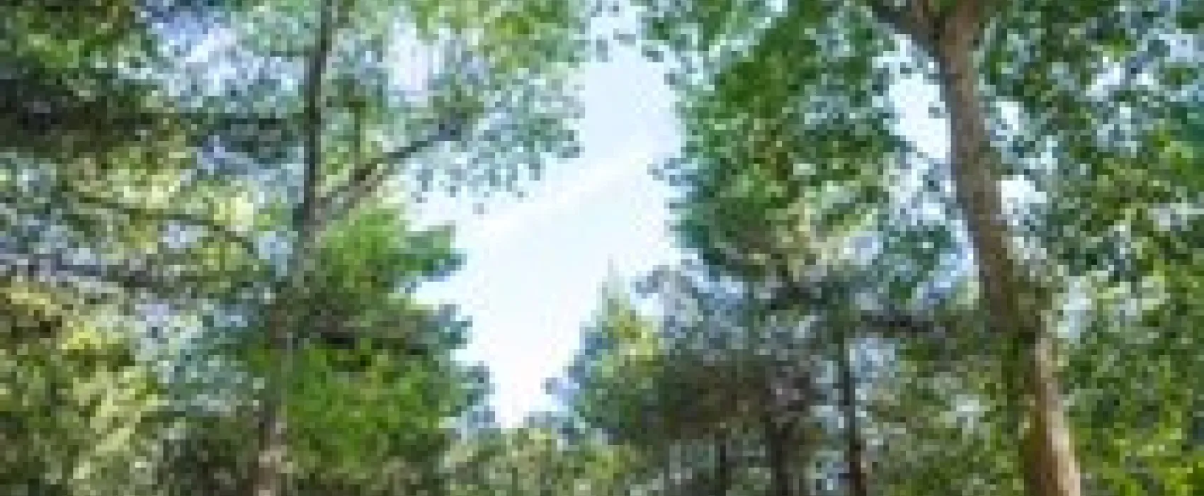 Agriturismo biologico Salos