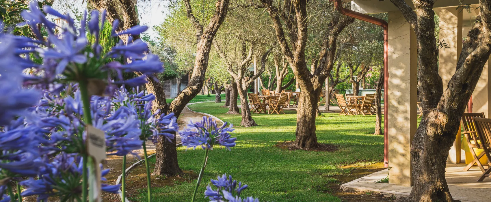 Agriturismo biologico Salos