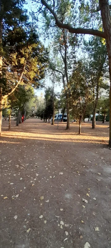 Agriturismo biologico Salos