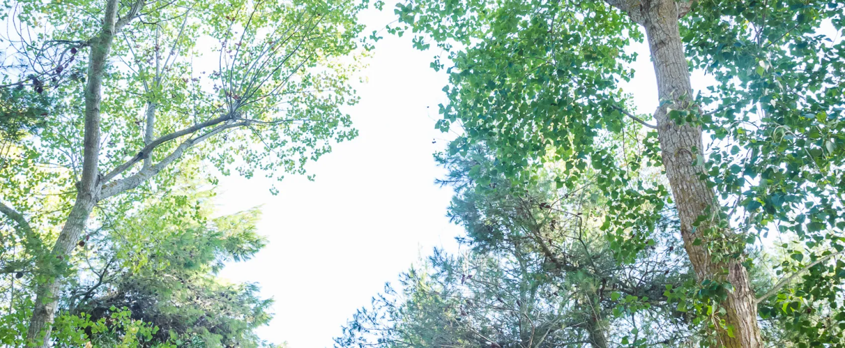 Agriturismo biologico Salos