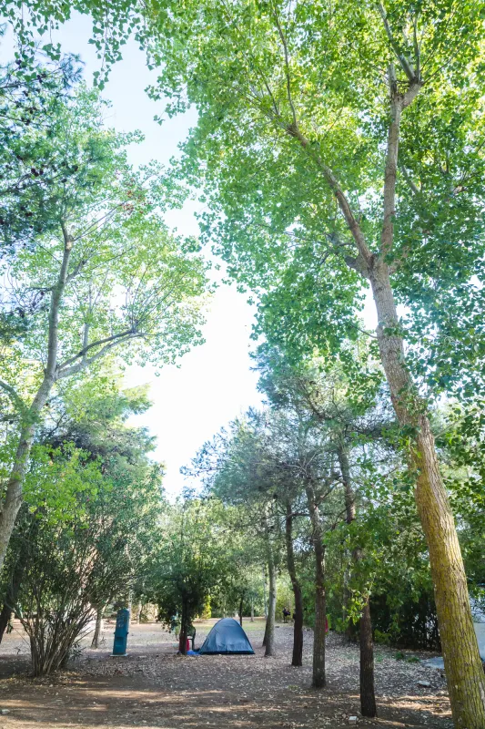 Agriturismo biologico Salos