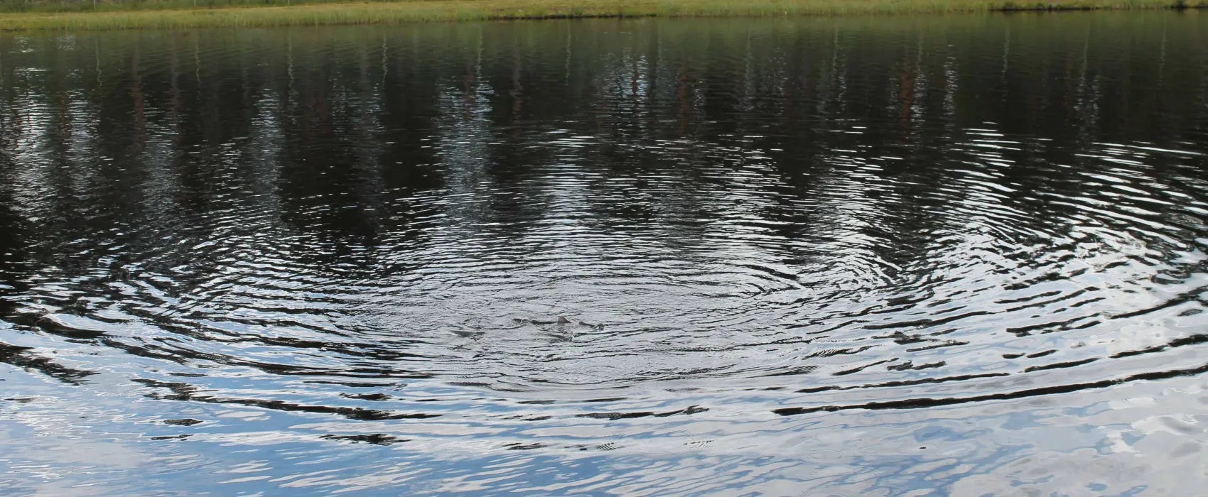 Fromhedens Fiskecamp