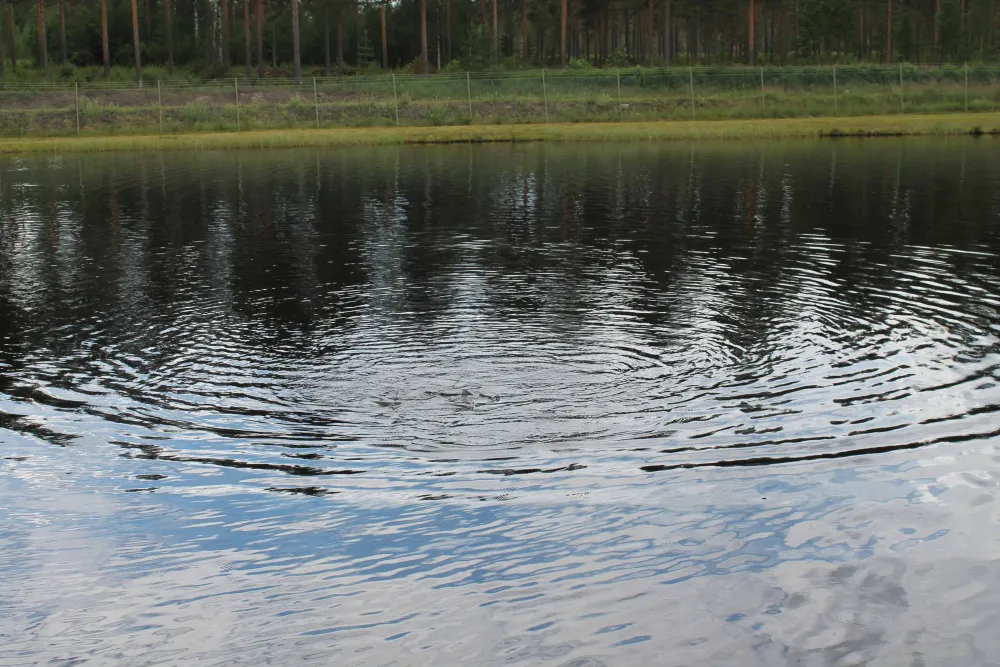 Fromhedens Fiskecamp