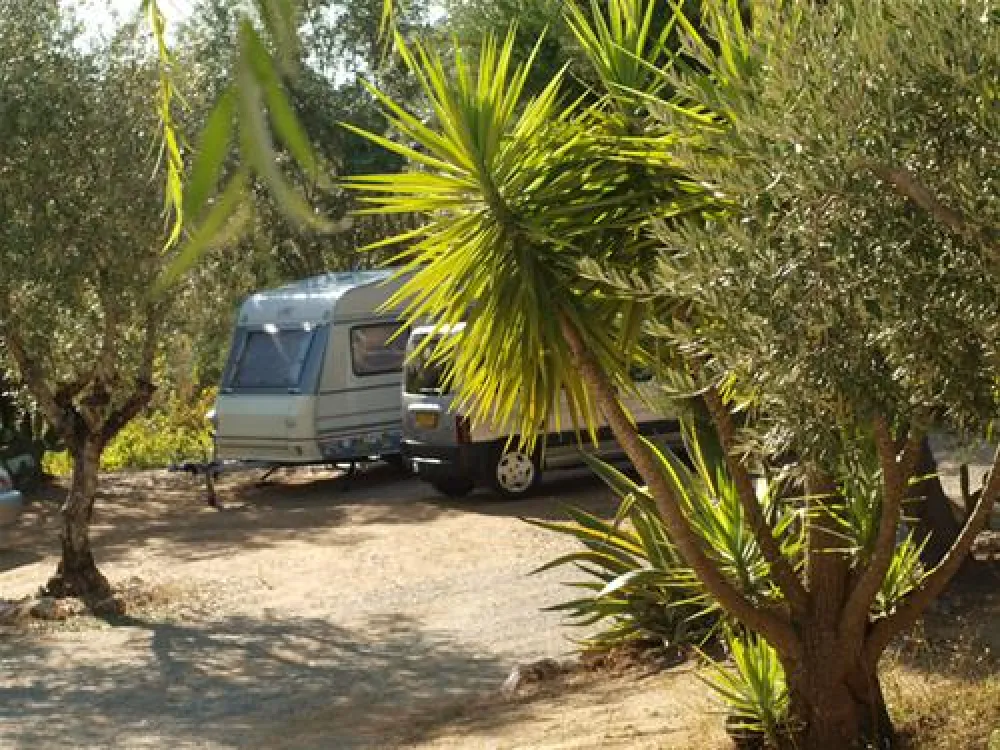 Parque de Campismo Redondo