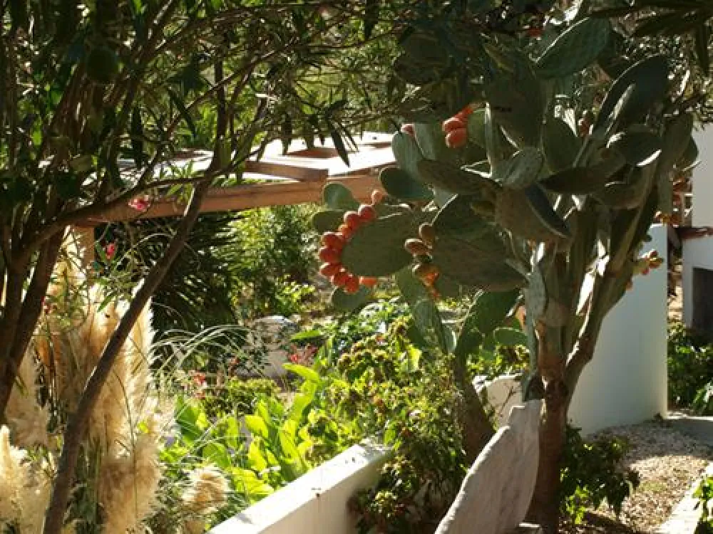 Parque de Campismo Redondo